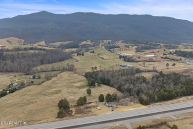 Investment Opportunity on 1.5 Acres - 6555 General Carl Steiner - photo 10