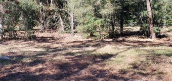 Lake Weir Acreage For Sale in Summerfield Florida