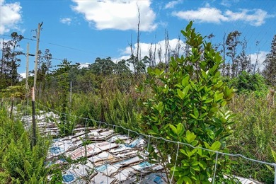 Income-Producing Farm with Established Piggery, Greenhouse & - photo 9