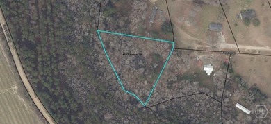 (private lake, pond, creek) Lot For Sale in Metter Georgia