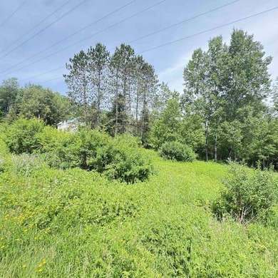 Three bedroom one and a half bedroom house sitting on 20 acres - photo 40