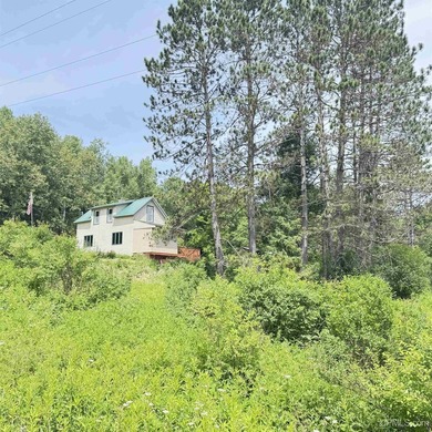 Three bedroom one and a half bedroom house sitting on 20 acres - photo 41
