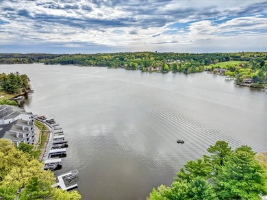 Experience luxury lake living in this beautifully updated Lake - photo 42