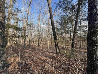 Lake Lot For Sale in Mountain Home, Arkansas