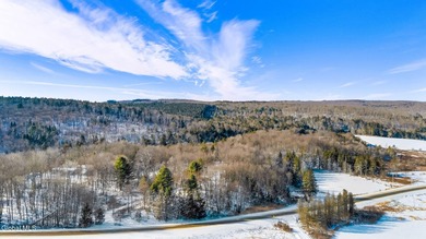 Lake Lot For Sale in Otselic, New York