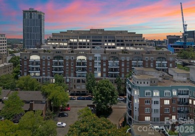Live in the heart of Uptown Charlotte in this beautiful, sunny - photo 37