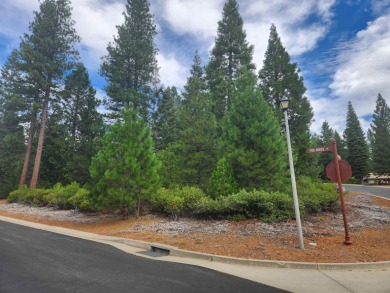 Lake Almanor Lot Sale Pending in Lake Almanor California