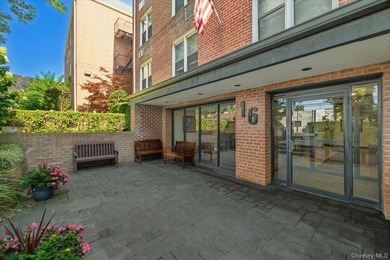 Adorable and Affordable Spacious Studio with Sleeping Alcove - photo 4