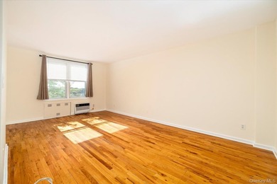 Adorable and Affordable Spacious Studio with Sleeping Alcove - photo 5