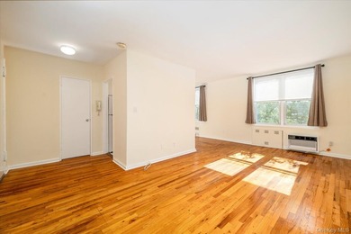 Adorable and Affordable Spacious Studio with Sleeping Alcove - photo 6