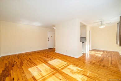 Adorable and Affordable Spacious Studio with Sleeping Alcove - photo 7