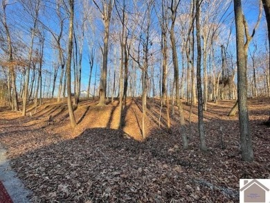 Lake Lot For Sale in Cadiz, Kentucky