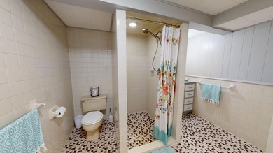 Beautifully updated 2-bedroom ranch with a fully remodeled main - photo 24