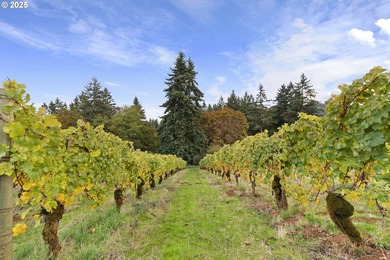 Oregon Vineyard Property is pleased to present this historically - photo 43