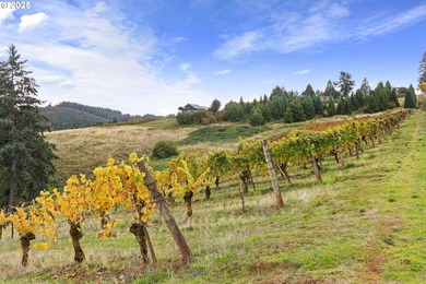 Oregon Vineyard Property is pleased to present this historically - photo 44