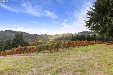 Oregon Vineyard Property is pleased to present this historically - photo 45