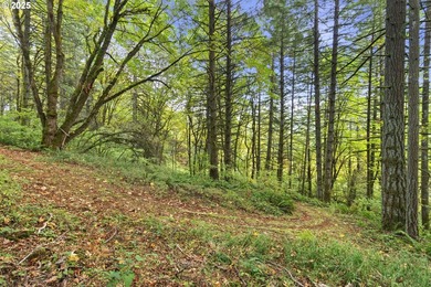 Oregon Vineyard Property is pleased to present this historically - photo 46