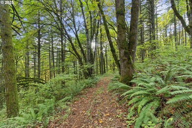 Oregon Vineyard Property is pleased to present this historically - photo 47