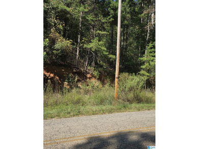 Discover 3.9 beautiful acres of flat, unrestricted land just .25 - photo 2