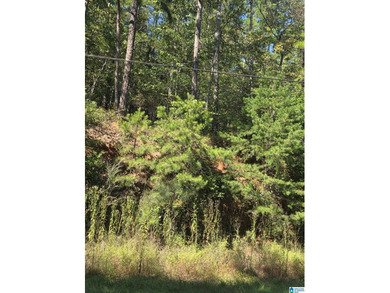 Discover 3.9 beautiful acres of flat, unrestricted land just .25 - photo 3