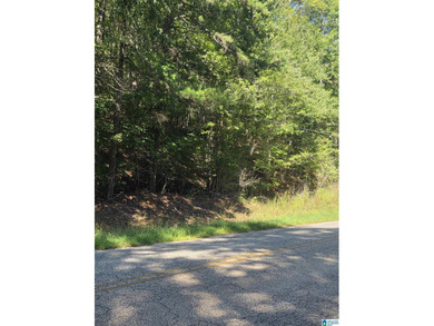 Discover 3.9 beautiful acres of flat, unrestricted land just .25 - photo 4
