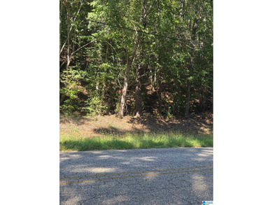 Discover 3.9 beautiful acres of flat, unrestricted land just .25 - photo 5