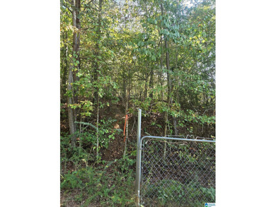 Discover 3.9 beautiful acres of flat, unrestricted land just .25 - photo 6