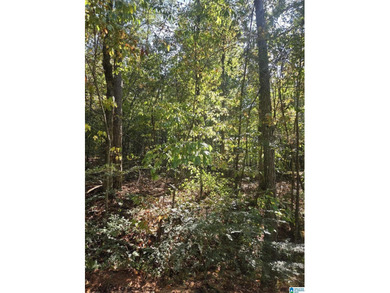 Discover 3.9 beautiful acres of flat, unrestricted land just .25 - photo 7