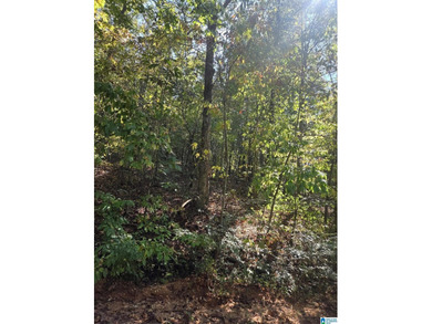 Discover 3.9 beautiful acres of flat, unrestricted land just .25 - photo 8