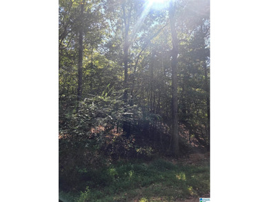Discover 3.9 beautiful acres of flat, unrestricted land just .25 - photo 9