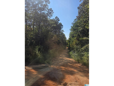 Discover 3.9 beautiful acres of flat, unrestricted land just .25 - photo 10