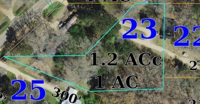 Pearl River Lot For Sale in Monticello Mississippi