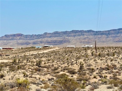 Lake Mead Lot For Sale in Meadview Arizona
