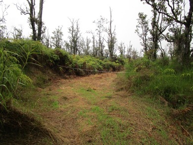 Winding driveway adds privacy that leads you to a cleared house - photo 5