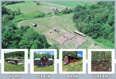 (private lake, pond, creek) Home For Sale in East Meredith New York