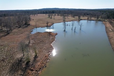 Lake Acreage For Sale in Timpson, Texas