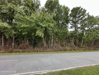 Pasquotank River Acreage For Sale in Elizabeth City North Carolina