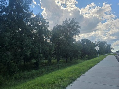 Withlacoochee River Acreage For Sale in Dade City Florida