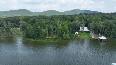 Lake Acreage For Sale in Ashville, Alabama