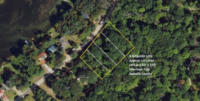 Lake Lot For Sale in Weidman, Michigan