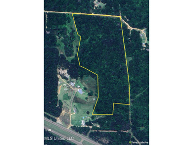 (private lake, pond, creek) Acreage For Sale in Braxton Mississippi