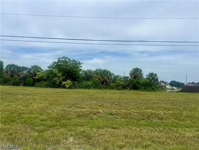 OVERSIZED TRIPLE FRESHWATER LOT - NO FLOOD ZONE - PARTIAL LAKE - photo 3
