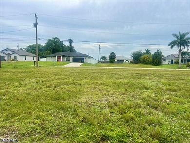 OVERSIZED TRIPLE FRESHWATER LOT - NO FLOOD ZONE - PARTIAL LAKE - photo 4