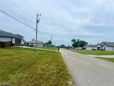 OVERSIZED TRIPLE FRESHWATER LOT - NO FLOOD ZONE - PARTIAL LAKE - photo 5