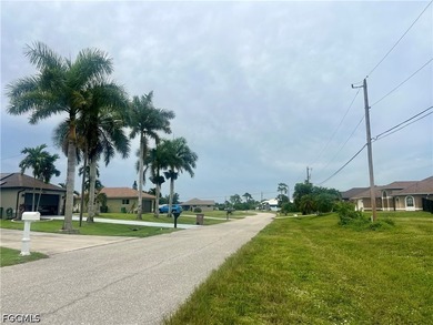 OVERSIZED TRIPLE FRESHWATER LOT - NO FLOOD ZONE - PARTIAL LAKE - photo 6