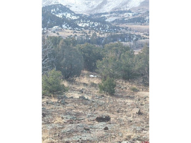 Lake Lot For Sale in South Fork, Colorado