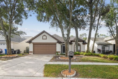 Lake Home Sale Pending in Valrico, Florida