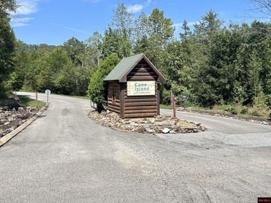 White River Lot For Sale in Flippin Arkansas