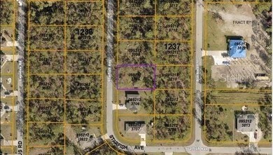 Vacant lot for sale on Starfish Avenue in North Port, Florida! - photo 3