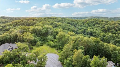 (private lake, pond, creek) Lot For Sale in Augusta Missouri